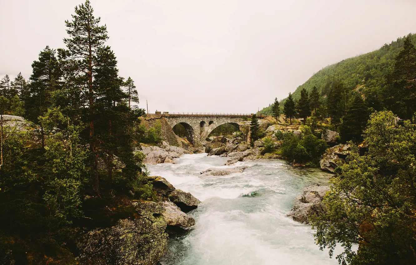 Photo wallpaper river, bridge, fog, hill, stones, pine, rainy