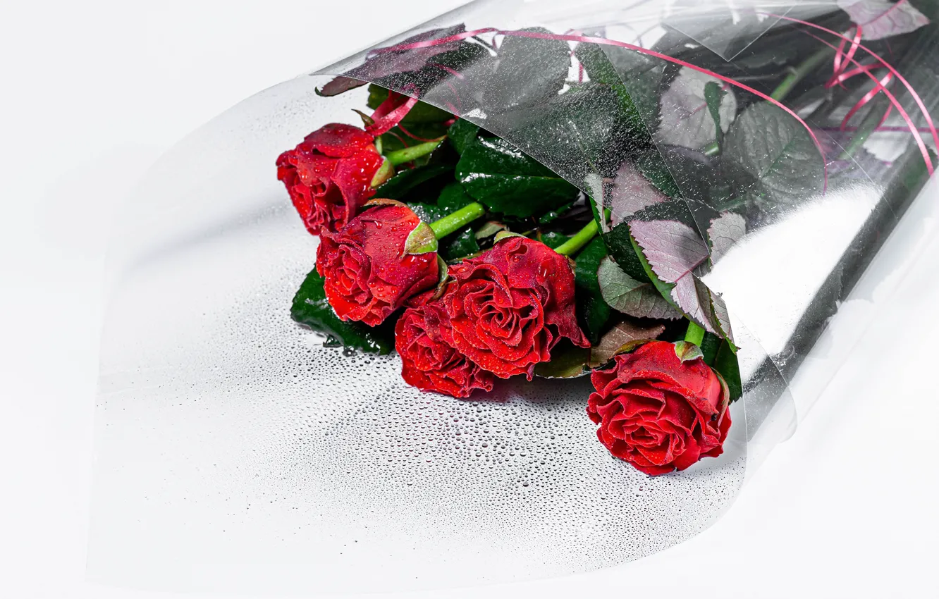 Photo wallpaper drops, roses, bouquet