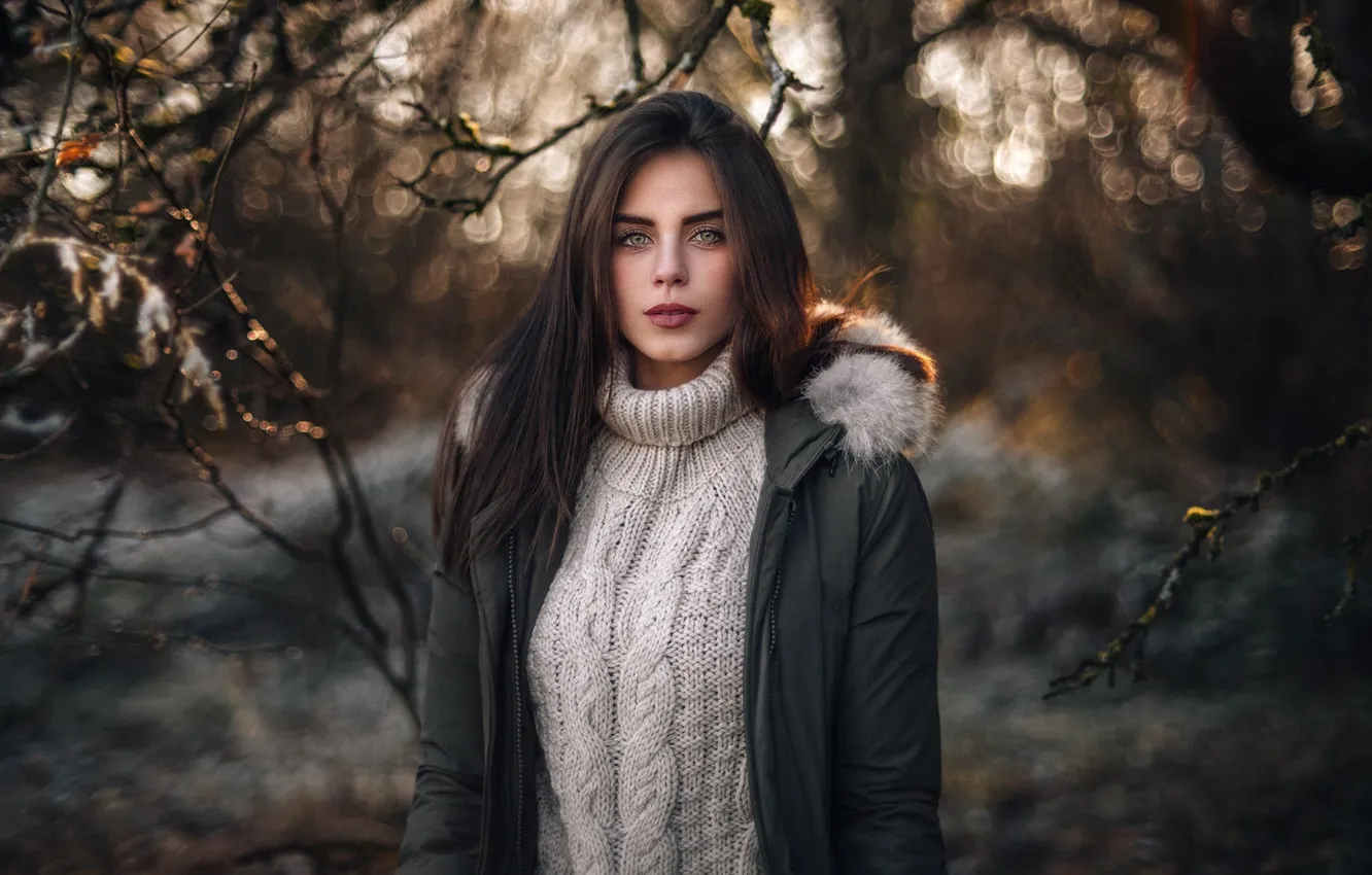 Photo wallpaper look, girl, branches, face, glare, sweetheart, model, portrait
