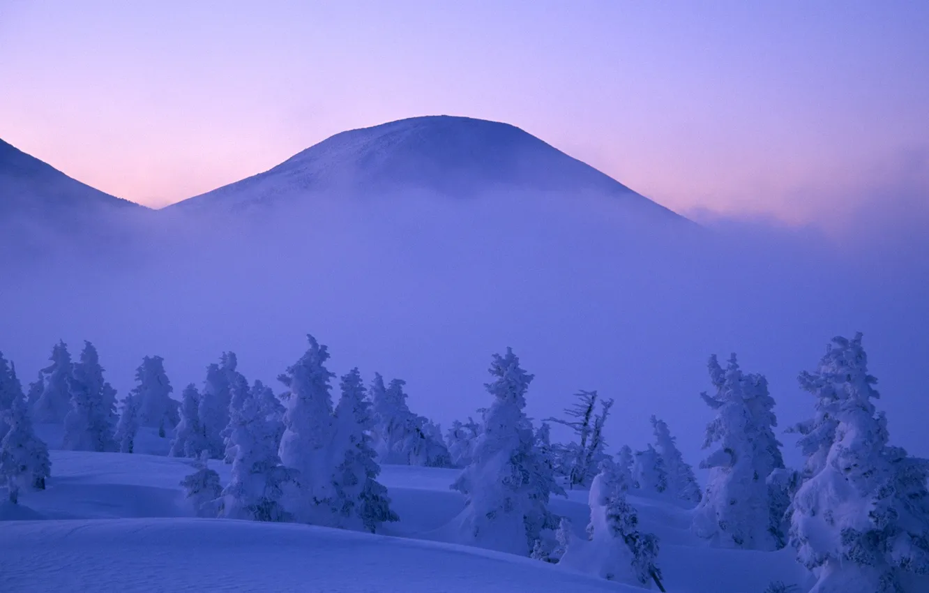 Photo wallpaper winter, clouds, snow, trees, fog, Mountains