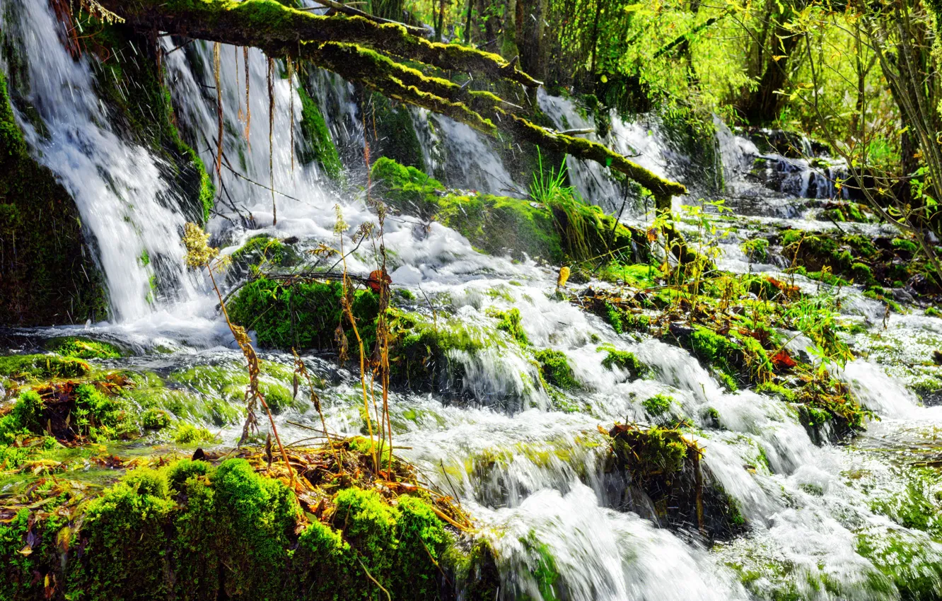 Photo wallpaper greens, summer, the sun, squirt, branches, waterfall, moss, China