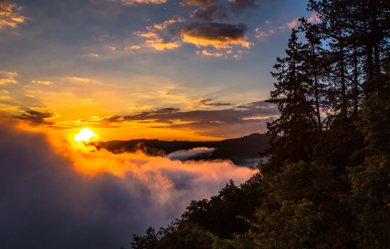 Morning dawn. Утренний рассвет. Утро обои. Солнечно утро. Обои лес в тумане.