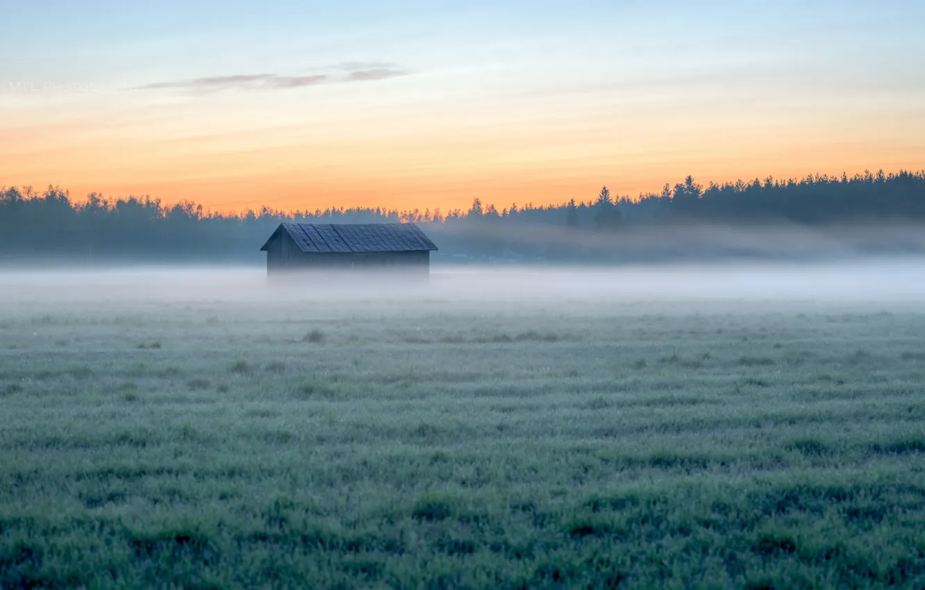 Photo wallpaper field, fog, house, morning