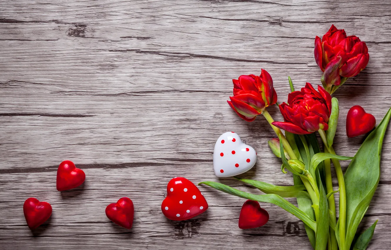 Photo wallpaper tulips, red, love, romantic, hearts, tulips, sweet, valentine`s day