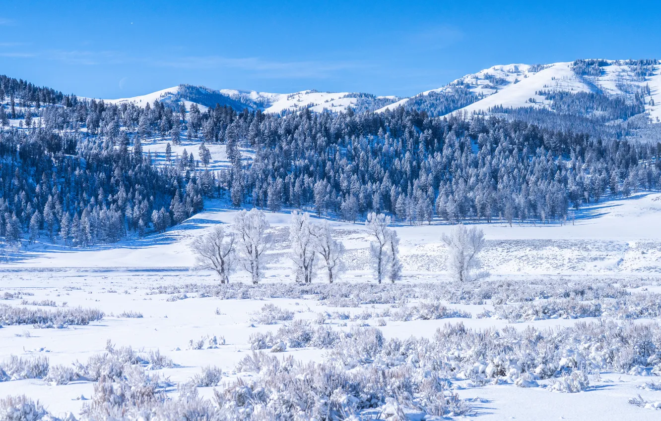 Photo wallpaper Yellowstone National Park, snow, mountains, winter, USA