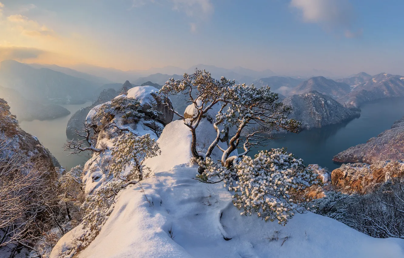 Photo wallpaper winter, frost, the sky, snow, trees, mountains, branches, fog