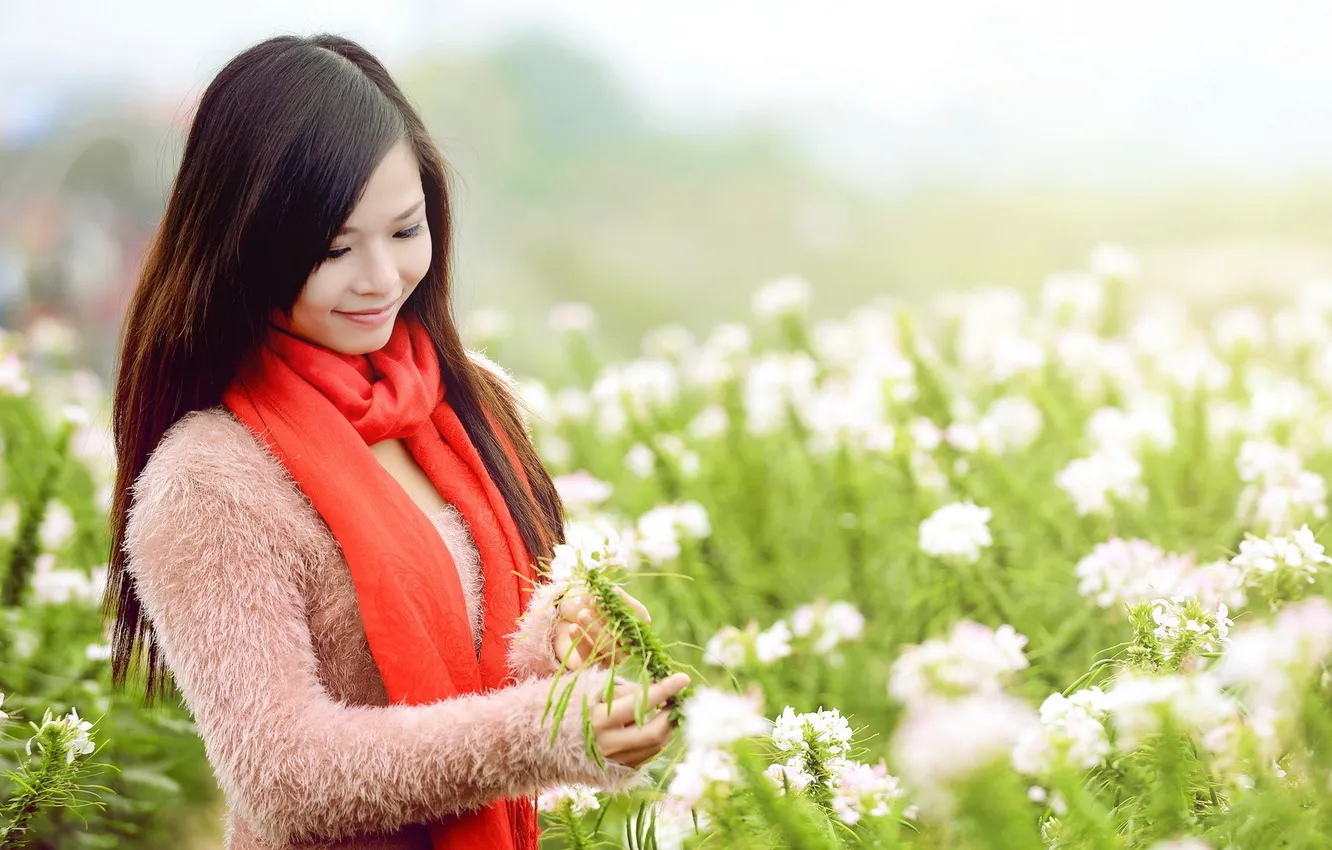 Photo wallpaper field, summer, girl