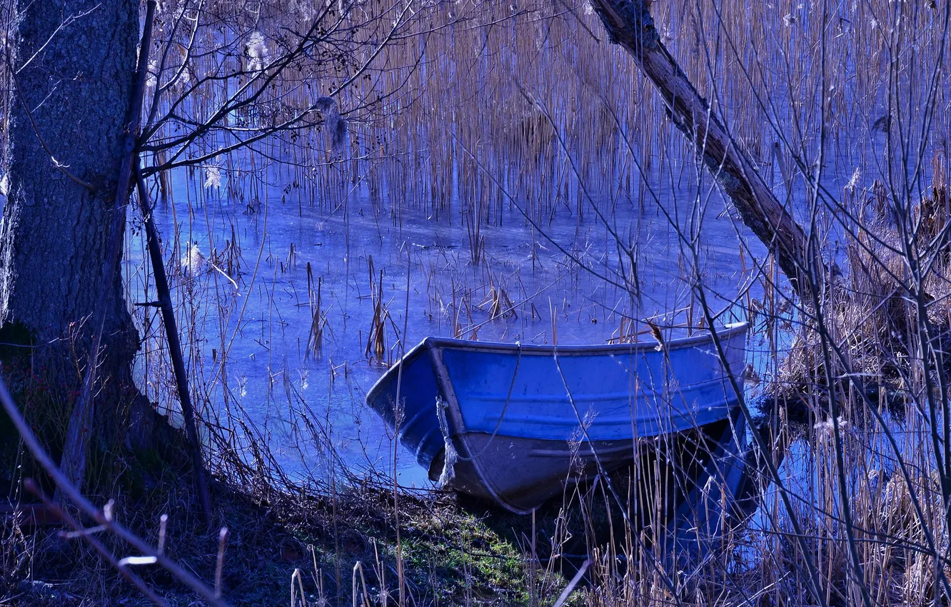 Photo wallpaper autumn, forest, trees, nature, pond, boat