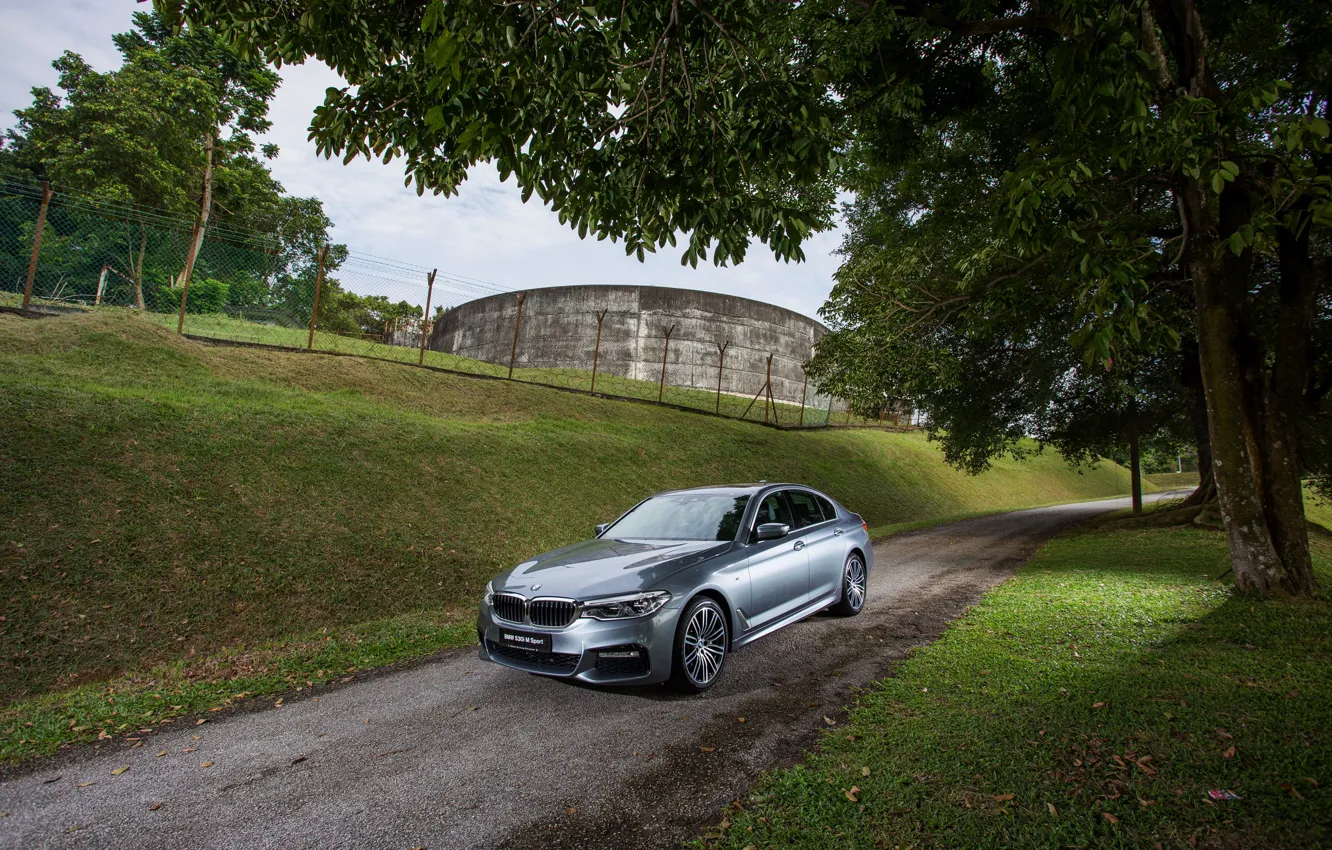 Photo wallpaper road, trees, grey, BMW, sedan, 530i, 5, four-door