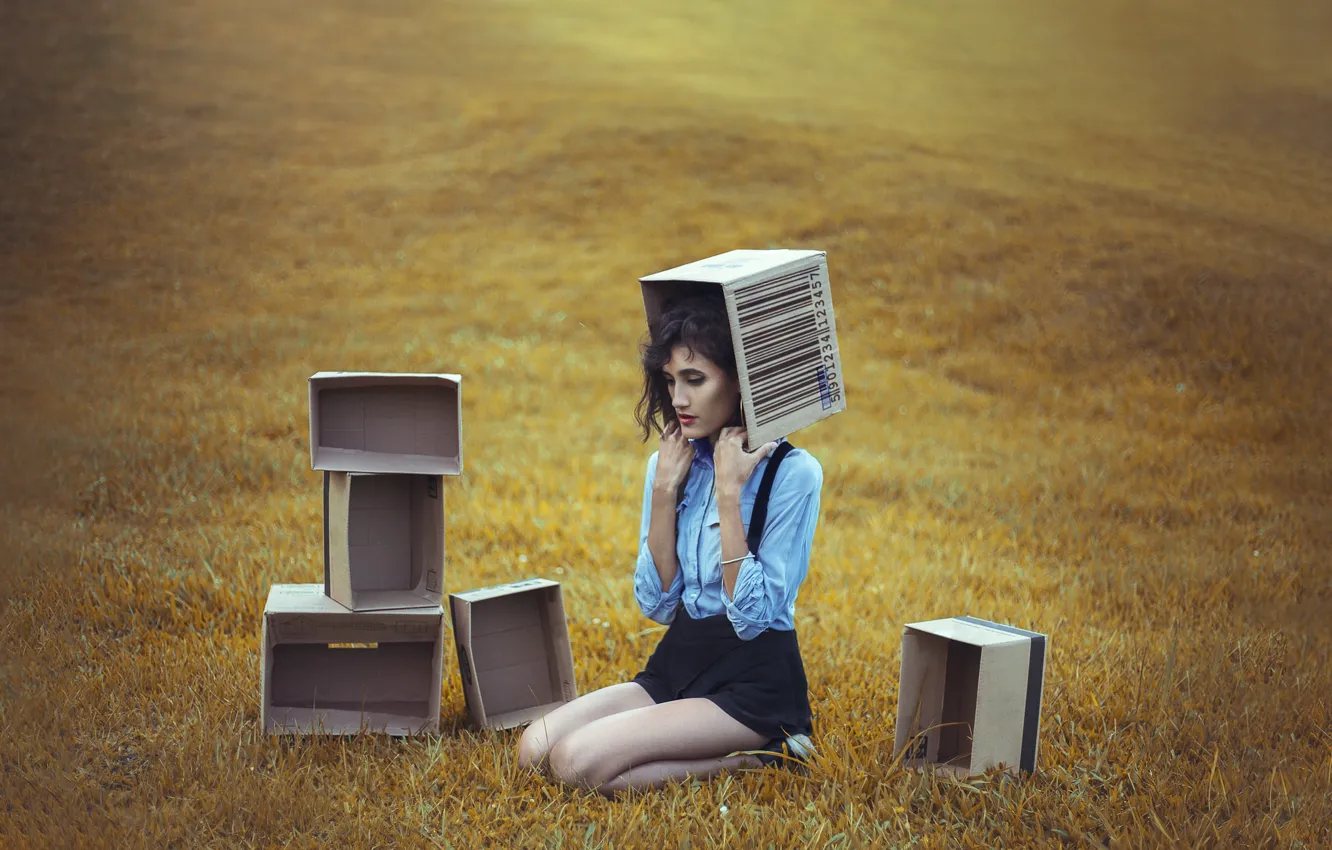 Photo wallpaper field, girl, box
