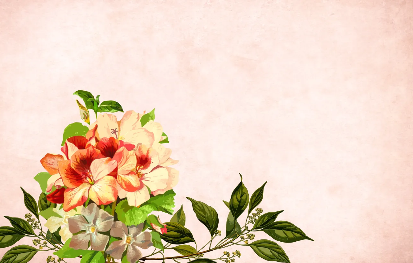 Photo wallpaper flowers, background, postcard, template