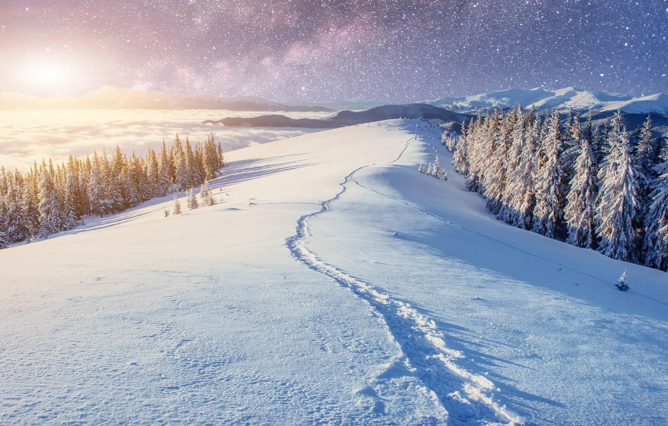 Photo wallpaper winter, road, forest, the sky, stars, light, snow, landscape