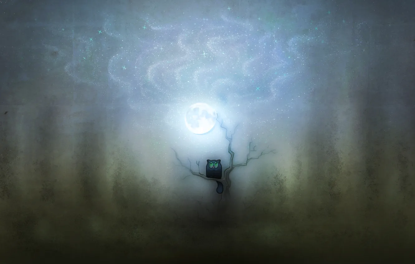 Photo wallpaper cat, stars, trees, the moon, figure