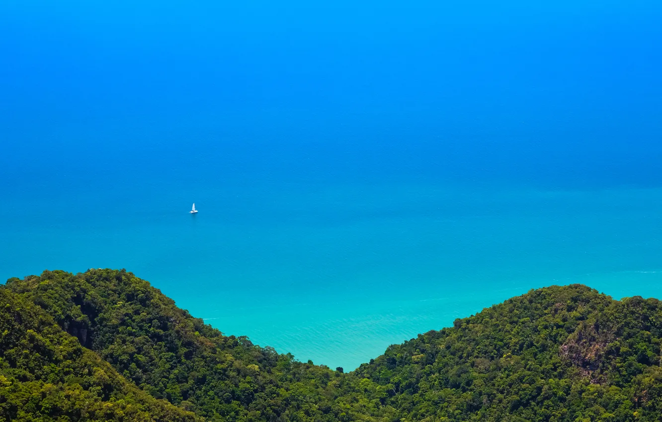 Photo wallpaper forest, landscape, mountains, nature, the ocean, view, jungle, Malaysia