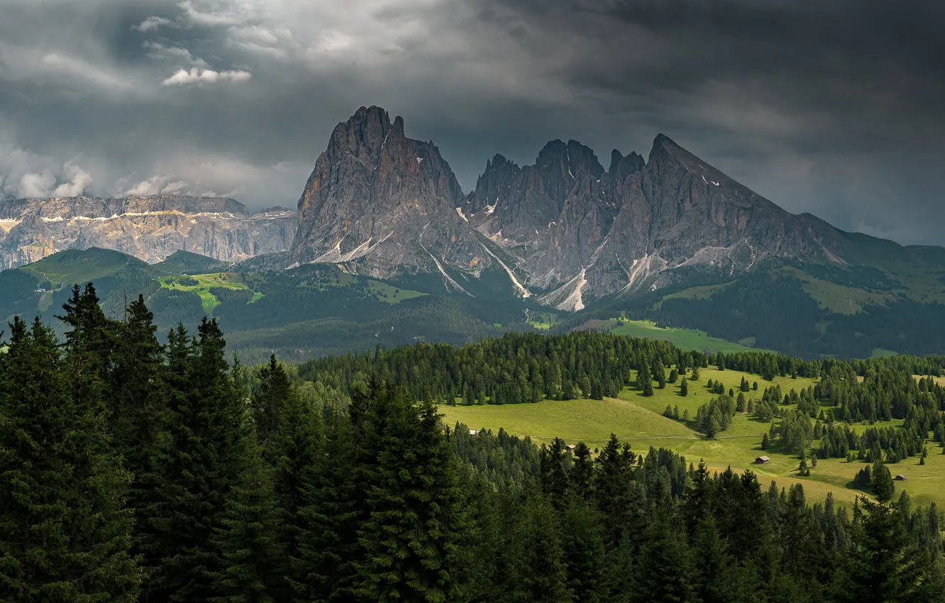 Photo wallpaper forest, mountains, Alps