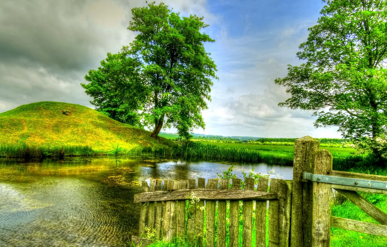 Photo wallpaper greens, field, summer, the sky, grass, clouds, trees, pond