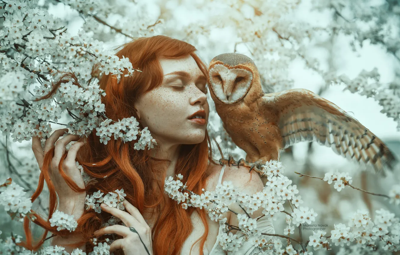 Photo wallpaper girl, flowers, branches, face, mood, owl, bird, hands