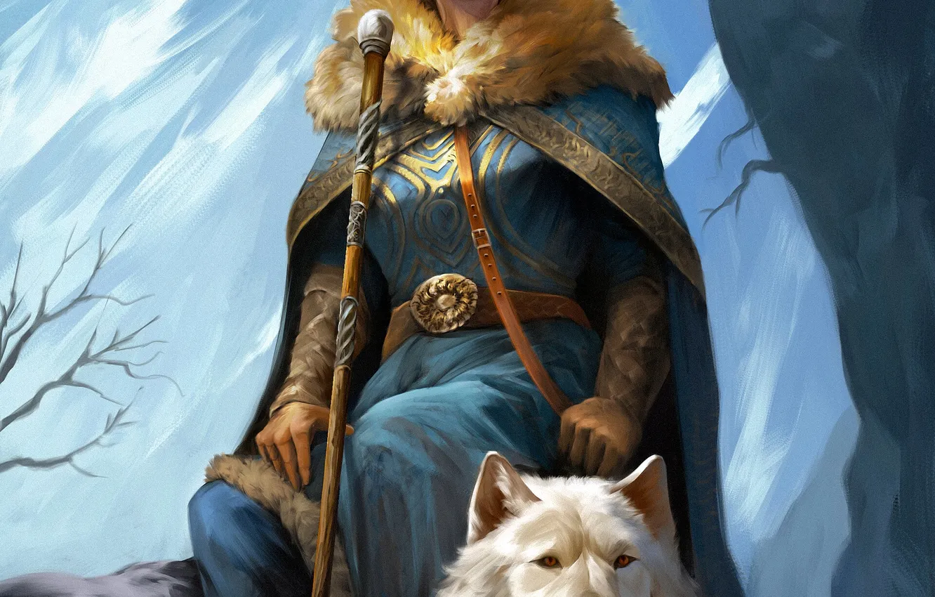 Photo wallpaper girl, fantasy, winter, rocks, animal, wolf, stick, digital art