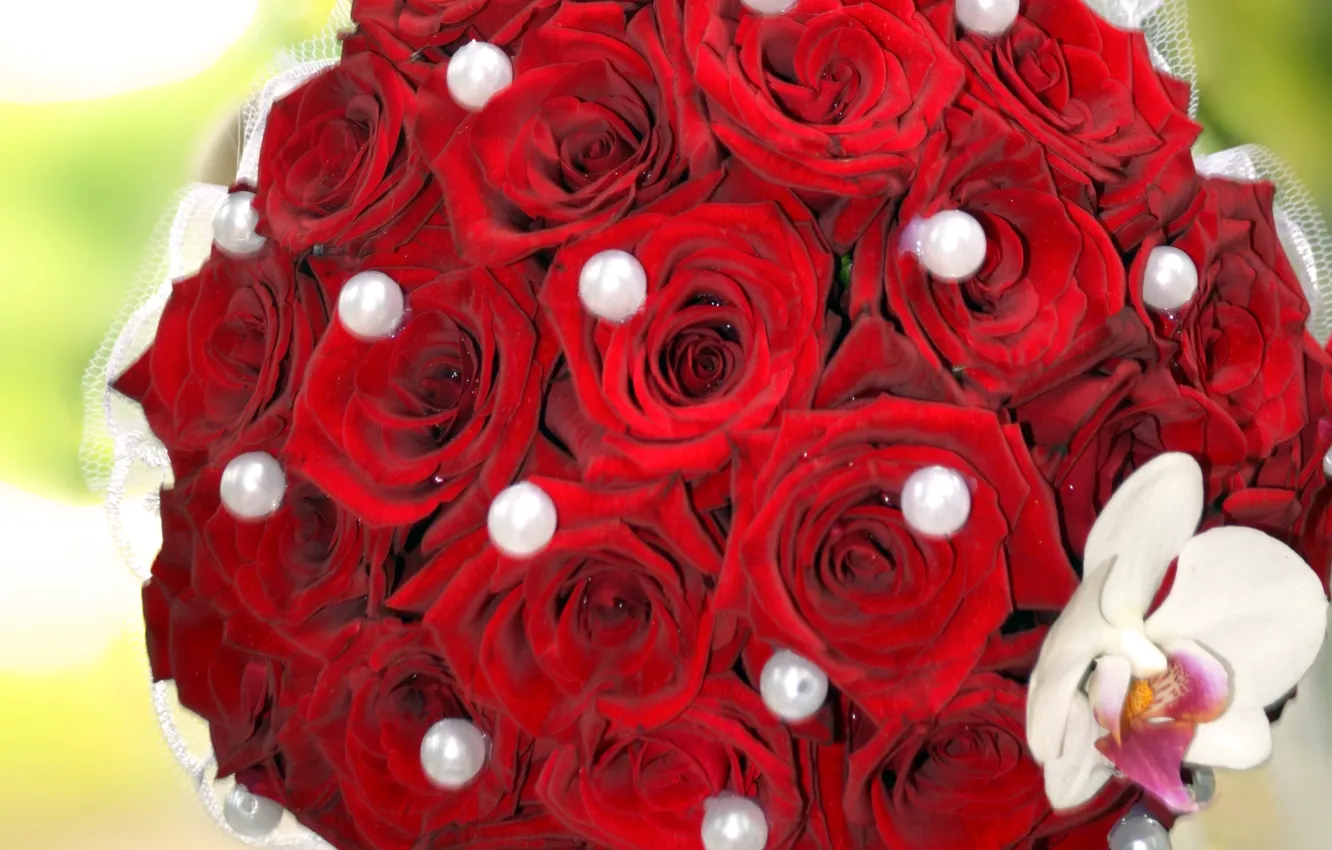 Photo wallpaper roses, bouquet, pearl, beads, Orchid