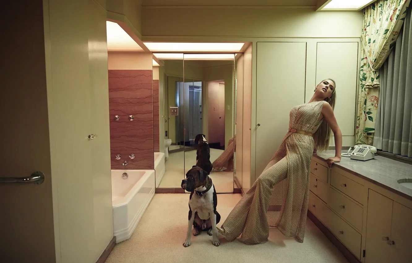 Photo wallpaper pose, model, dog, actress, mirror, hairstyle, blonde, photographer