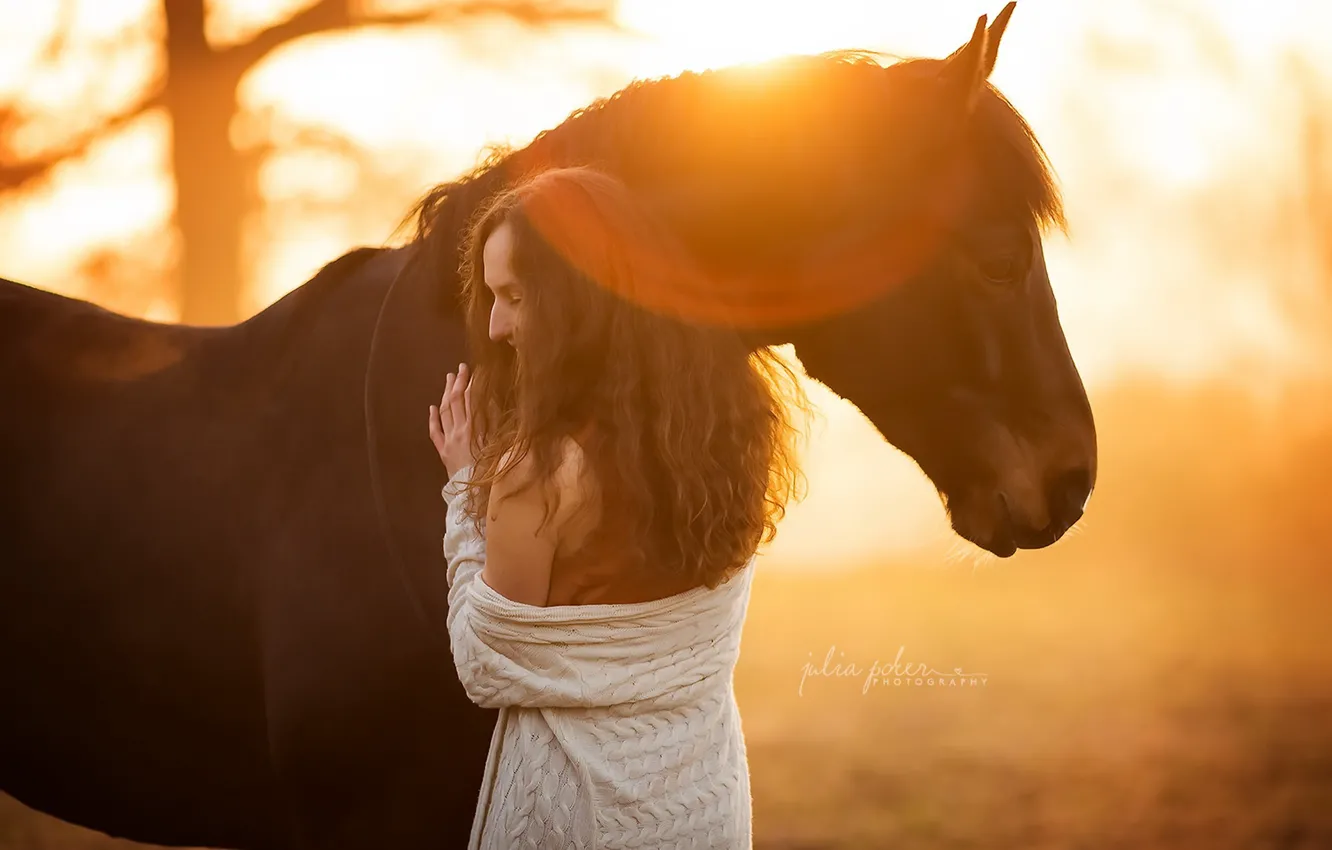 Photo wallpaper girl, light, horse