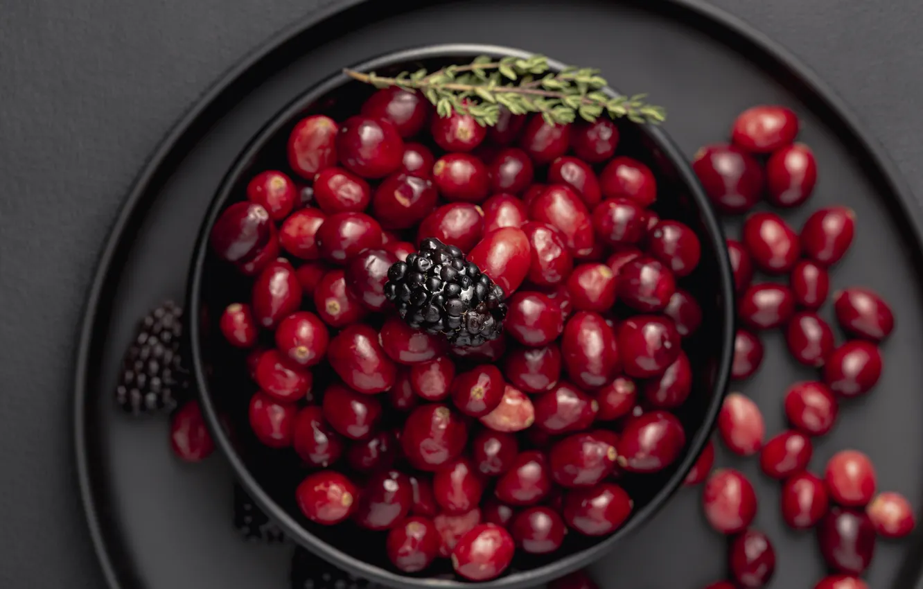 Photo wallpaper berries, bowl, cranberry