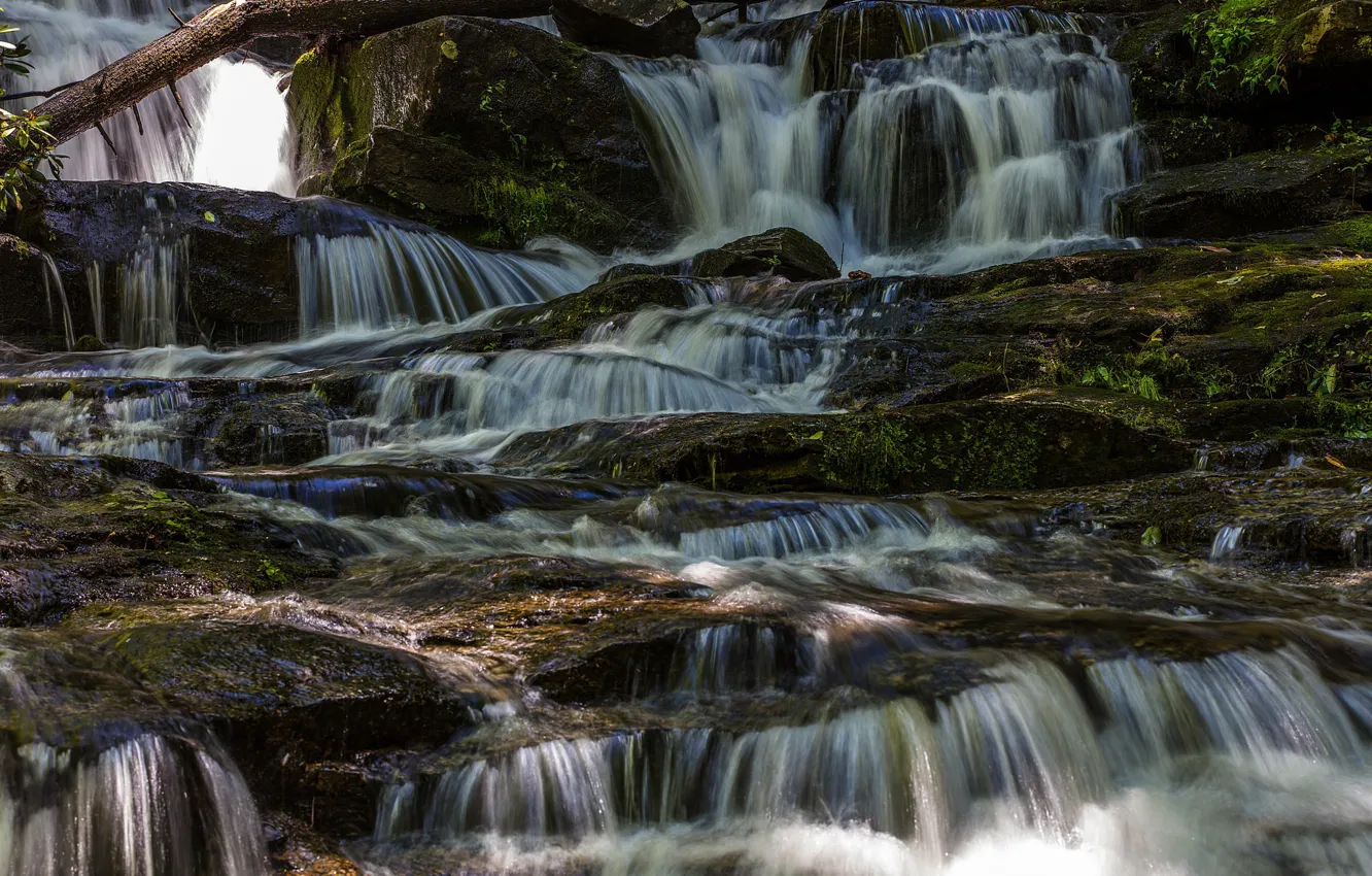 Photo wallpaper forest, stones, stream, river, Virginia Hawkins Falls