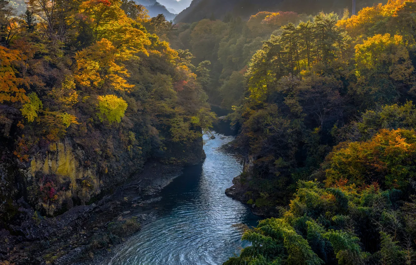 Photo wallpaper Japan, forest, river, trees, mountains, rocks, foliage, water ripples