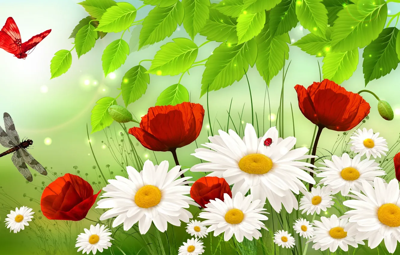 Photo wallpaper grass, leaves, flowers, collage, butterfly, Mac, chamomile, dragonfly