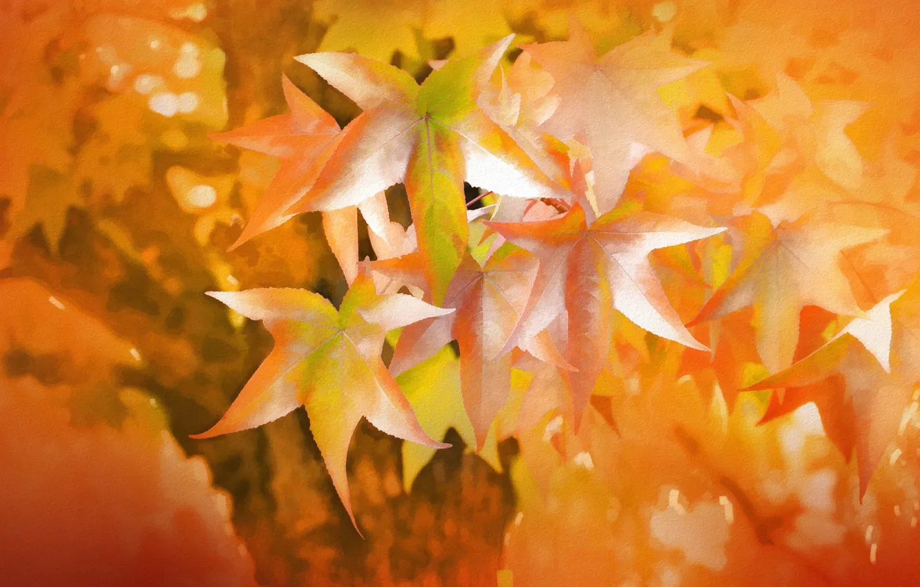 Photo wallpaper autumn, leaves, texture