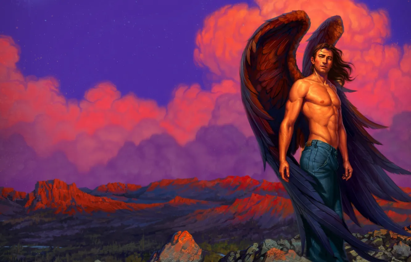 Photo wallpaper the sky, nature, wings, angel, guy, black wings