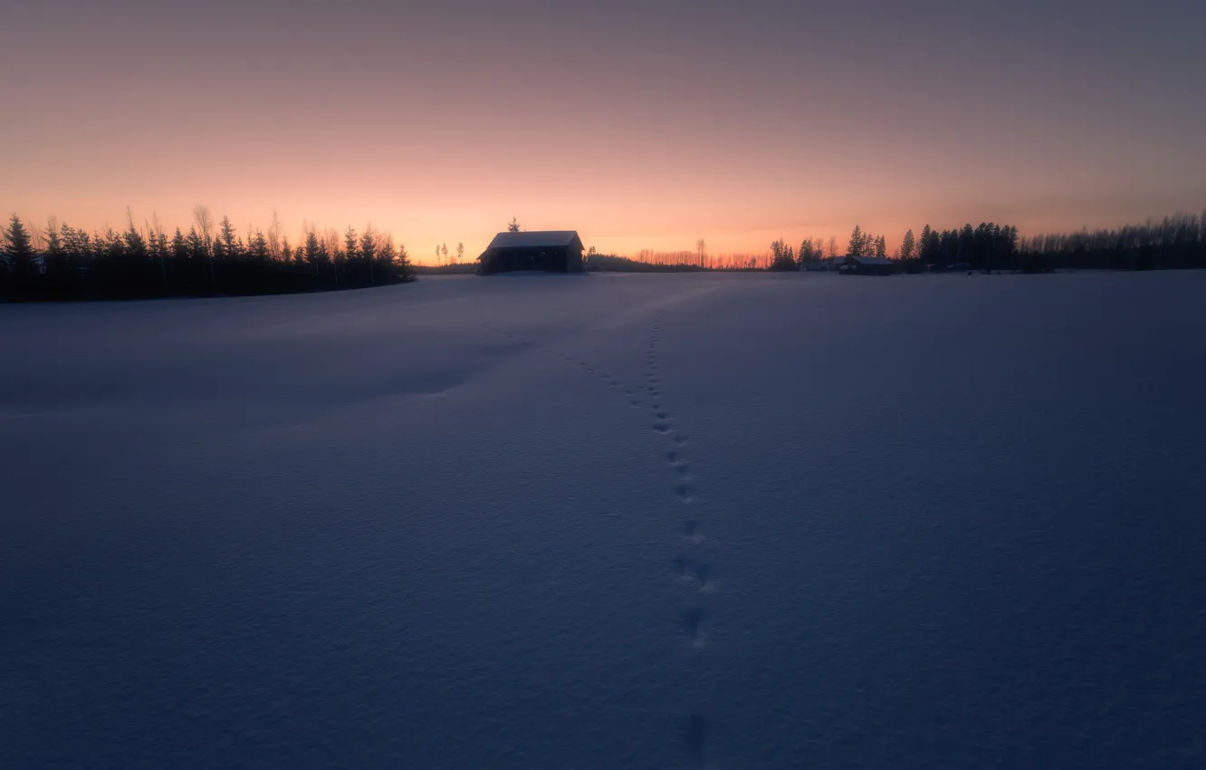Photo wallpaper winter, field, night, traces