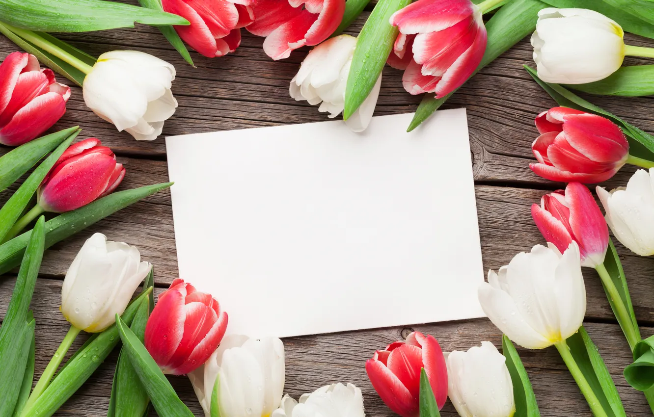Photo wallpaper flowers, bouquet, tulips, red, white, wood, flowers, tulips