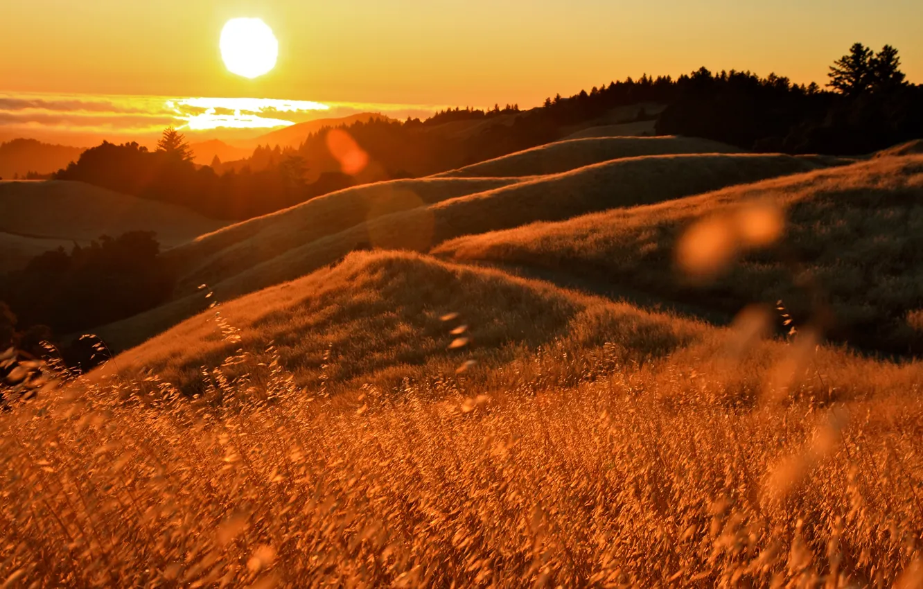 Photo wallpaper grass, the sun, sunset, glare, the ocean, hills, CA, California