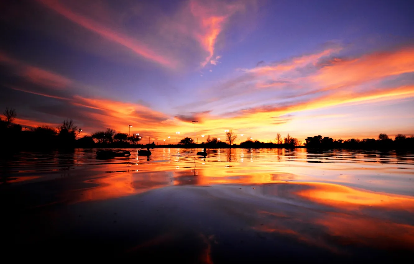 Photo wallpaper the sky, sunset, lake, duck