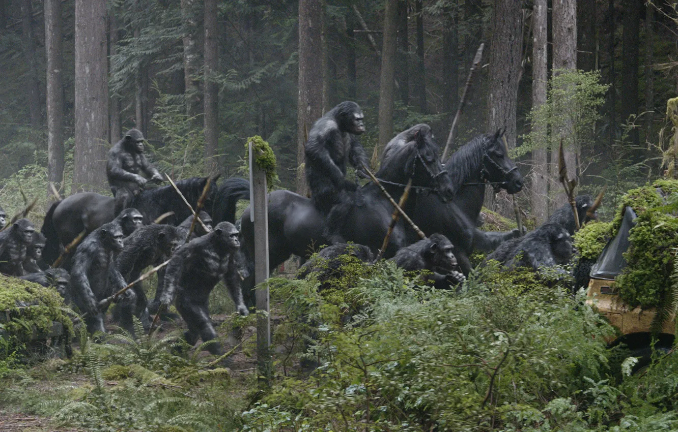Photo wallpaper horse, monkey, Planet of the apes: the Revolution, Dawn of the Planet of the Apes