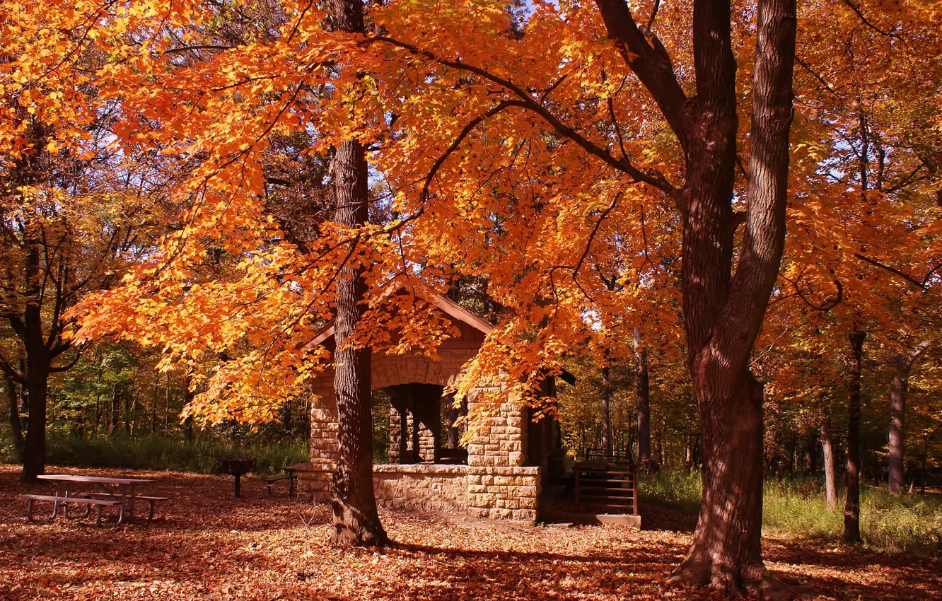Photo wallpaper house, trees, nature, park, autumn, leaves, fall