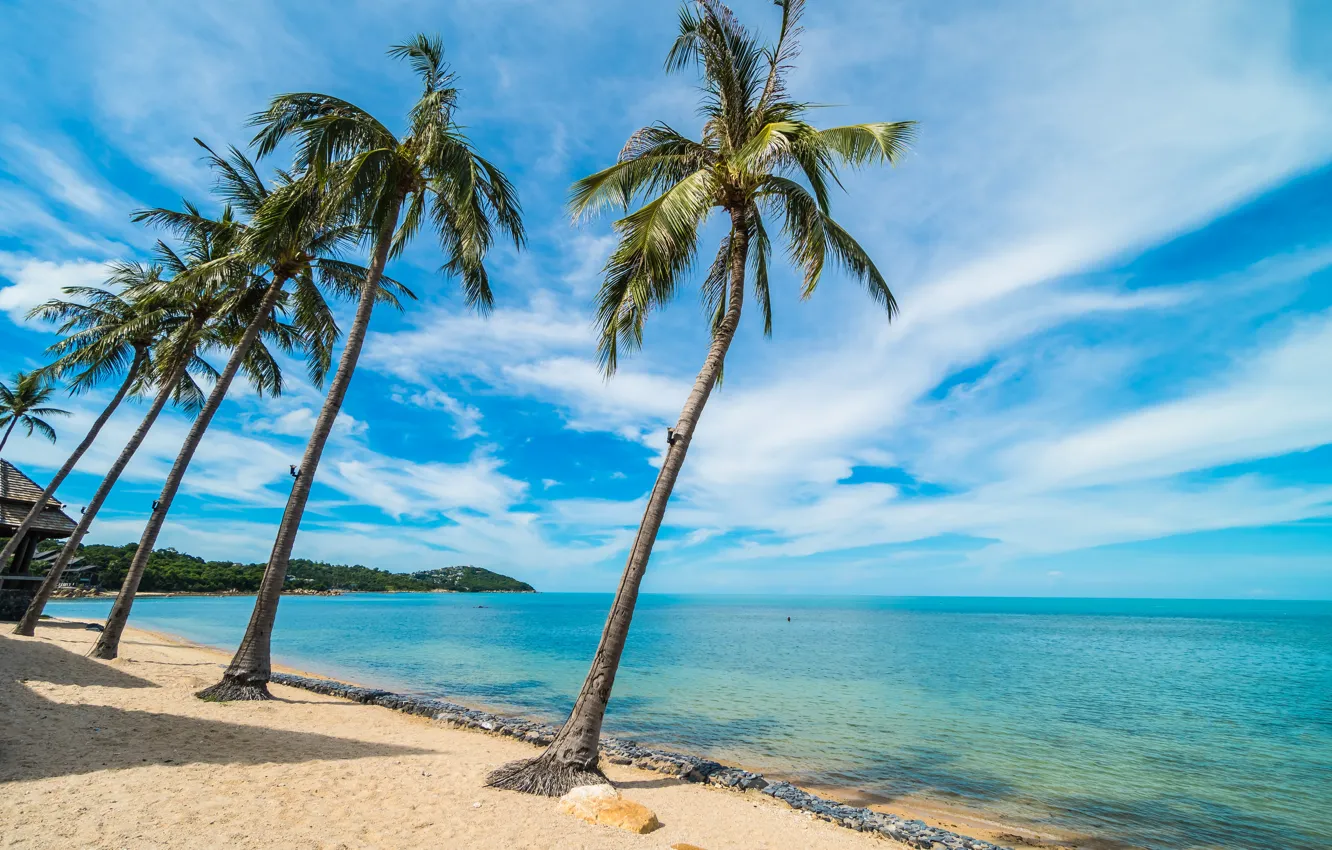 Photo wallpaper sand, sea, beach, summer, the sky, the sun, palm trees, shore