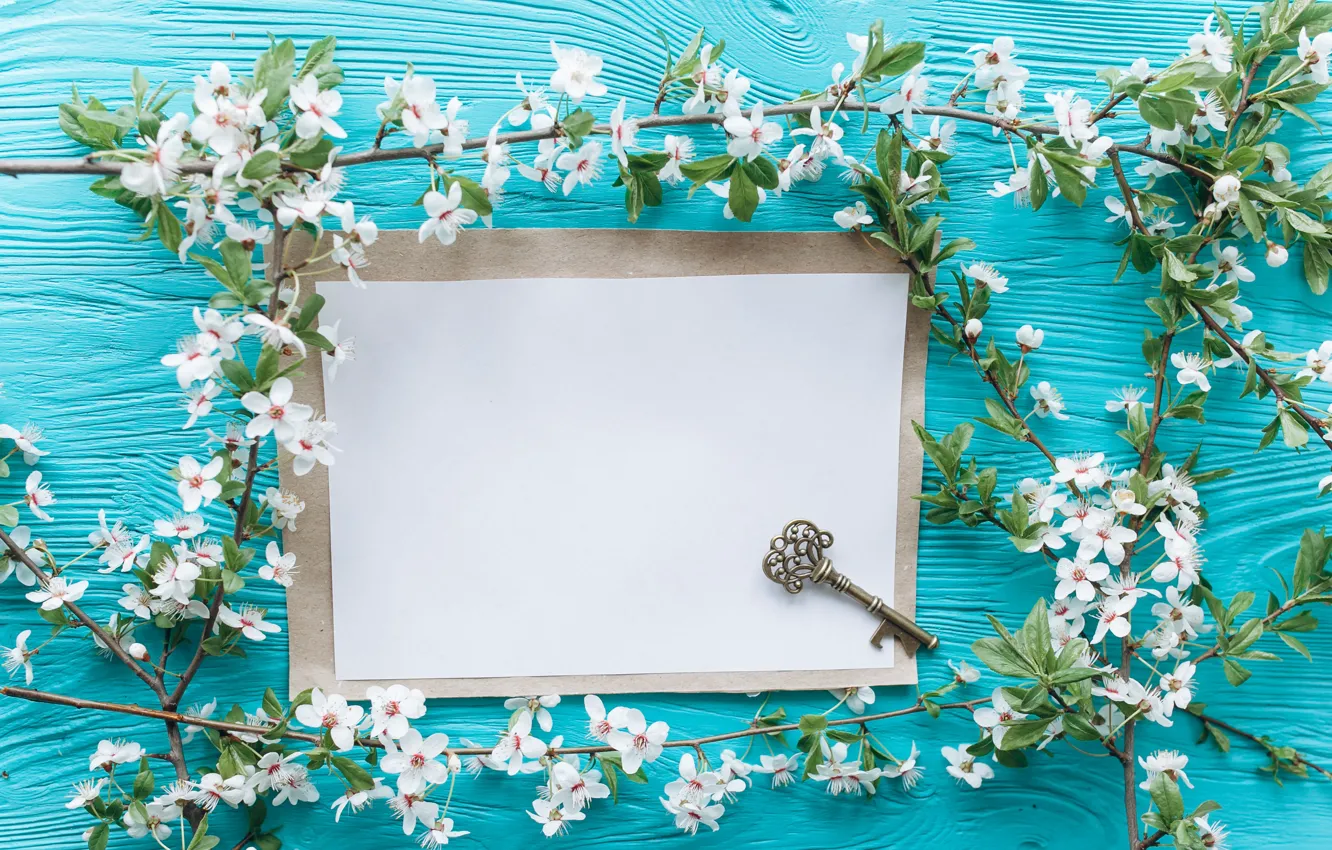 Photo wallpaper flowers, branches, apple, spring, key, white, white, Apple