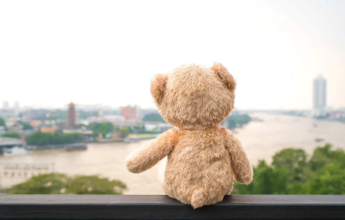 Photo wallpaper bridge, city, the city, river, toy, bear, river, bear