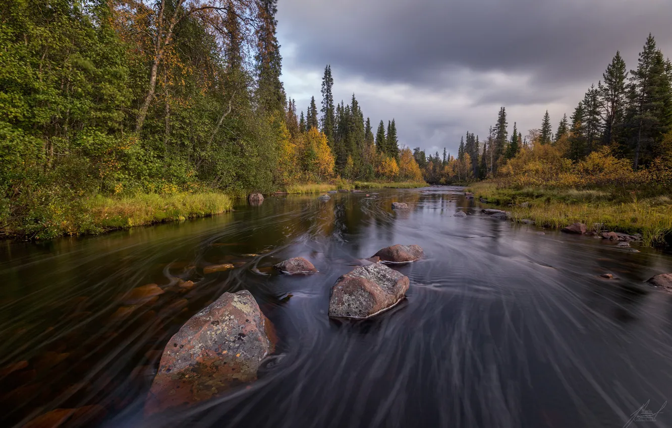 Photo wallpaper autumn, landscape, nature, stream, stones, forest, Bank, Murmansk oblast