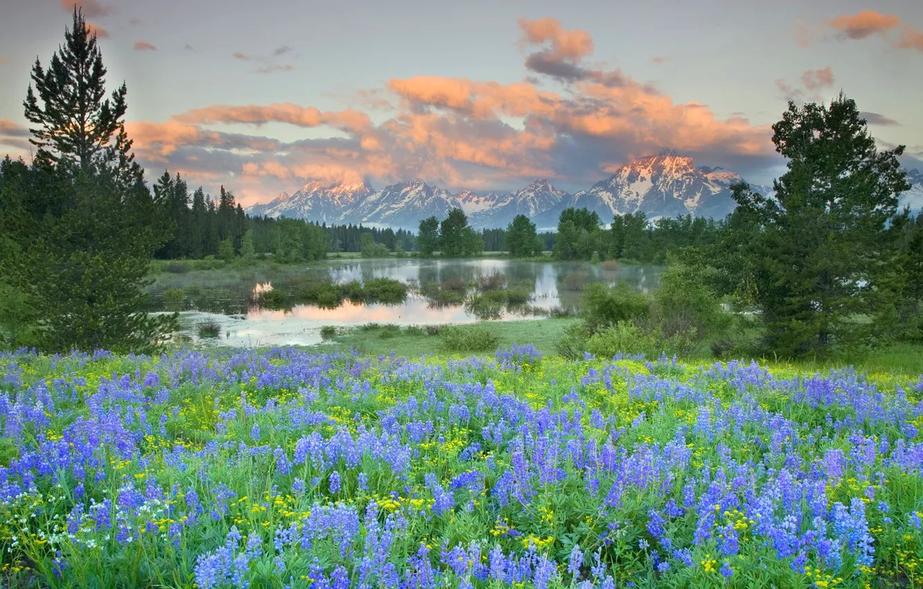 Photo wallpaper the sky, clouds, trees, flowers, mountains, lake, meadow
