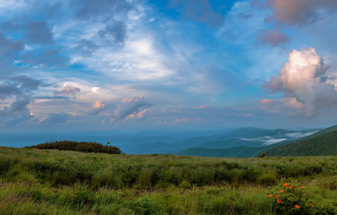 Photo wallpaper the sky, grass, mountains, nature