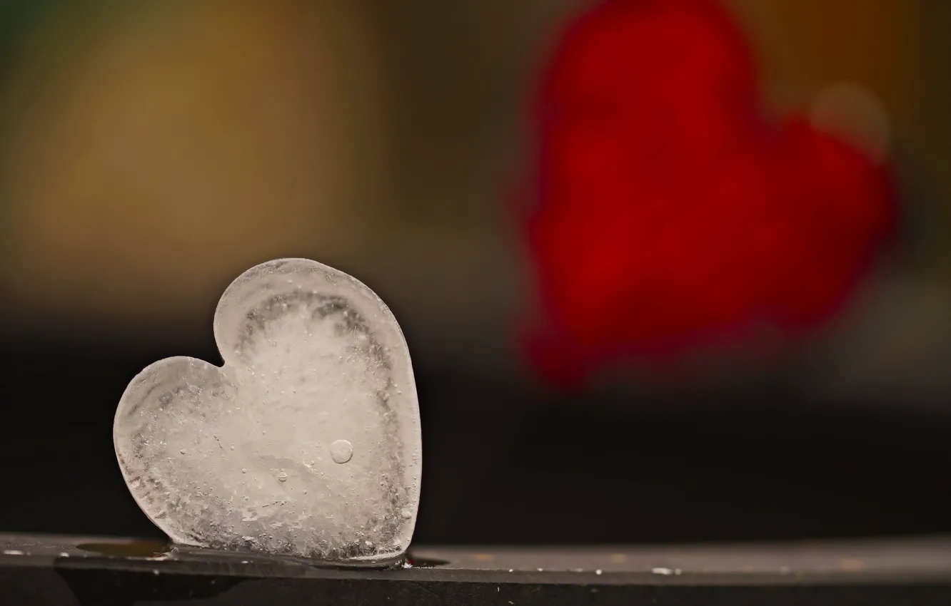 Photo wallpaper background, heart, ice
