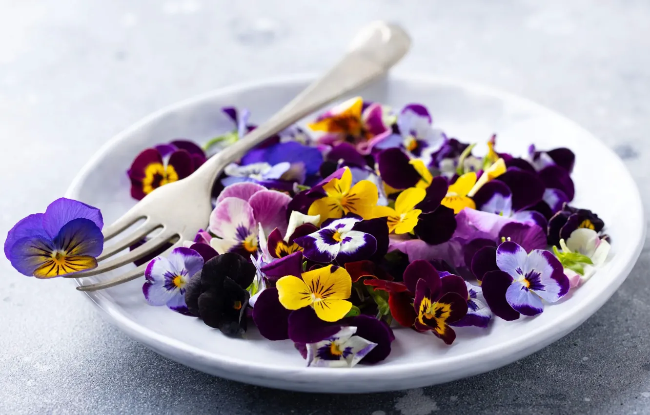 Photo wallpaper flowers, yellow, plate, purple, plug, Pansy, a lot, different