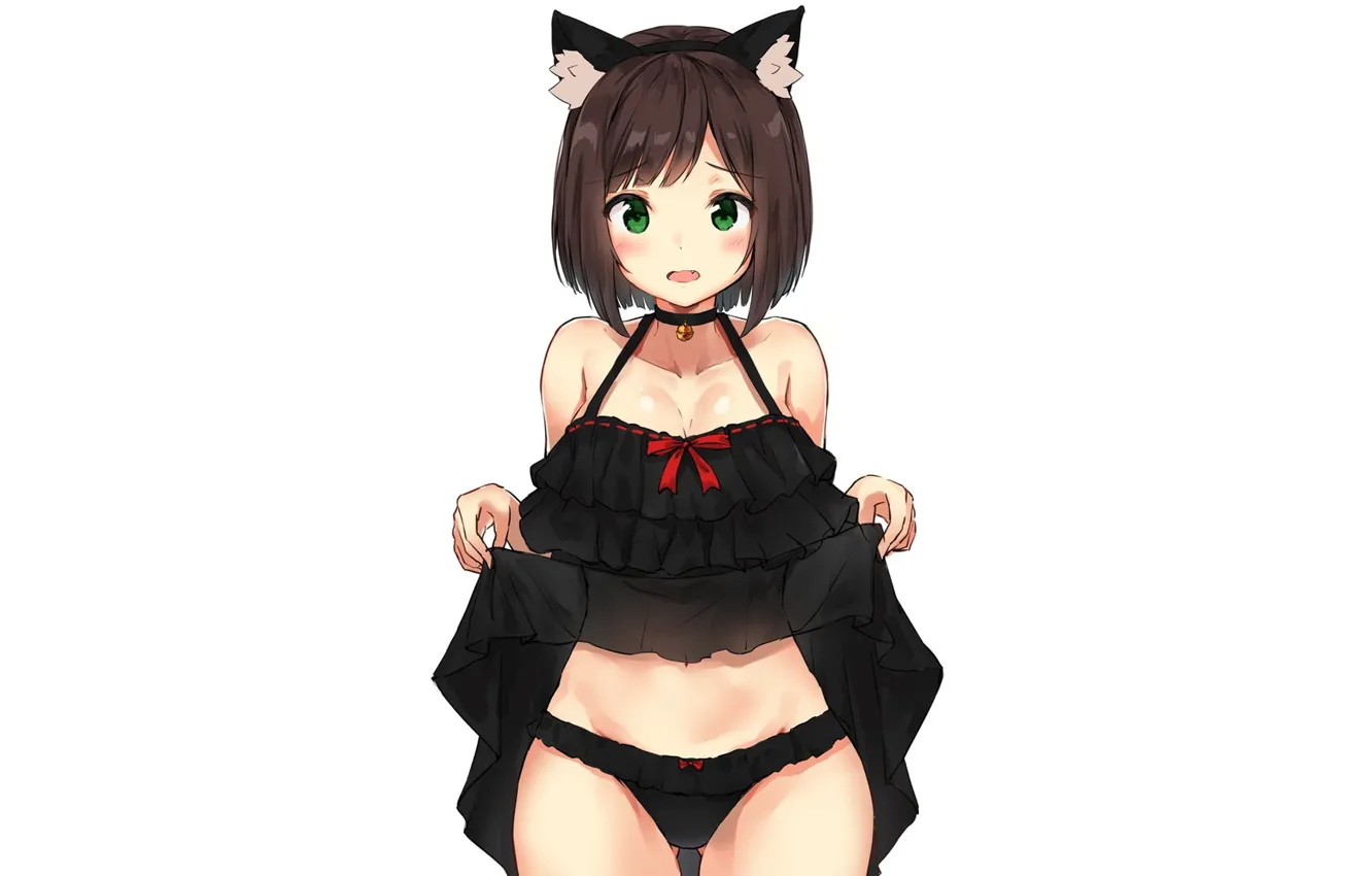 Photo wallpaper cat, panties, anime, girl, neko, Chan, neko chan