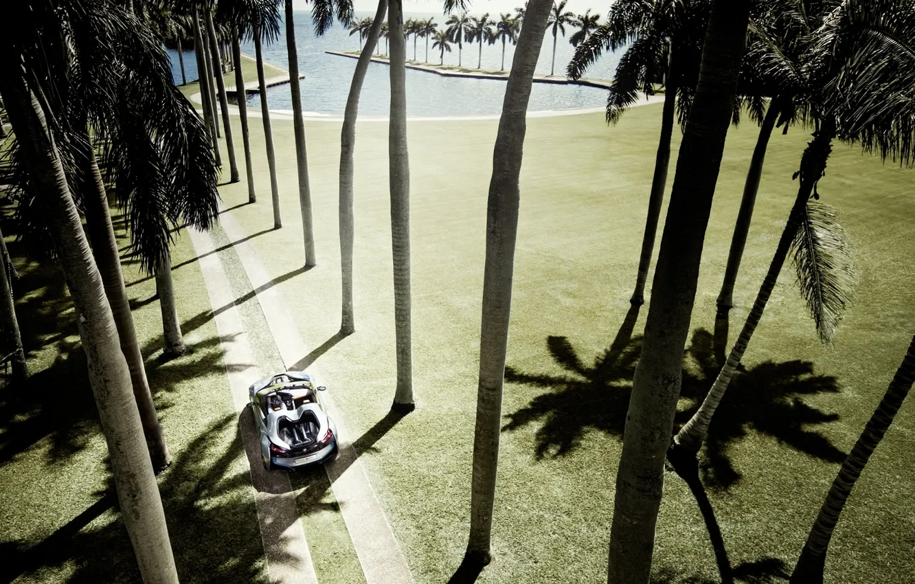 Photo wallpaper road, Concept, palm trees, BMW, BMW, the concept, Bay, supercar