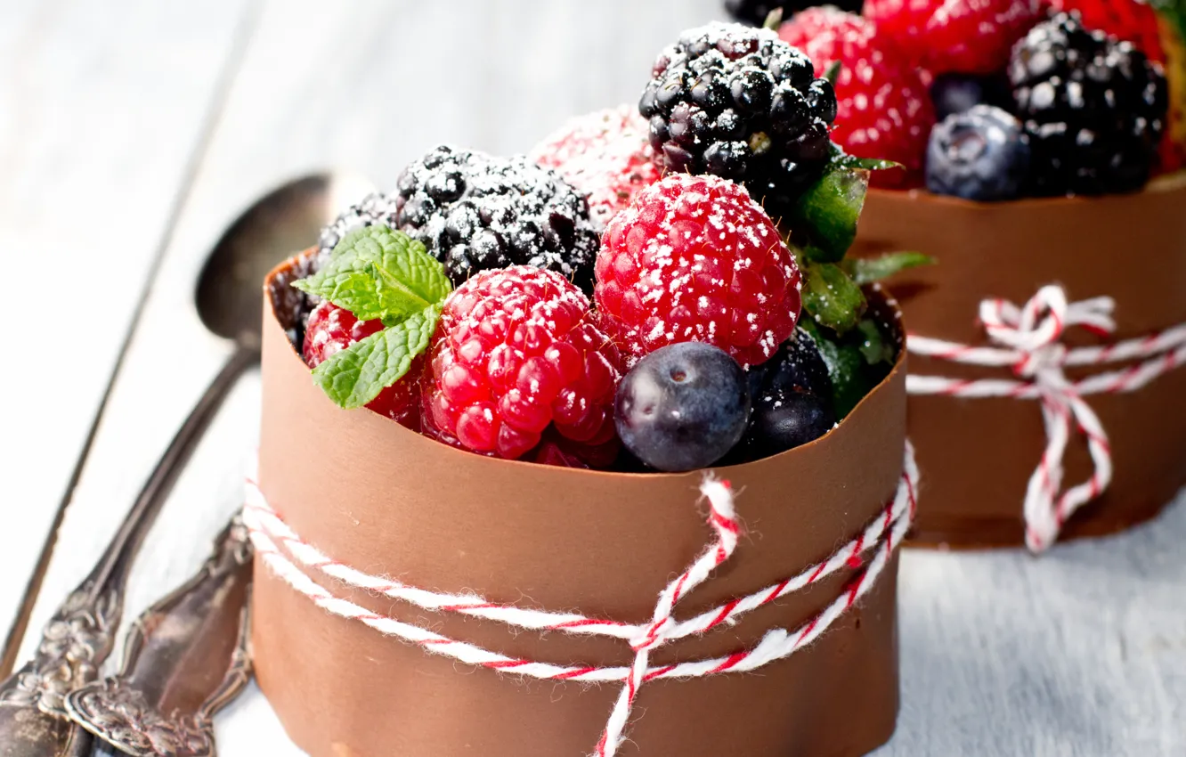 Photo wallpaper berries, raspberry, Bush, food, chocolate, strawberry, sweets, fruit