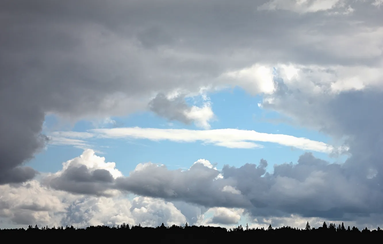 Photo wallpaper forest, summer, rays, clouds, beauty, clearance, Obdlaka