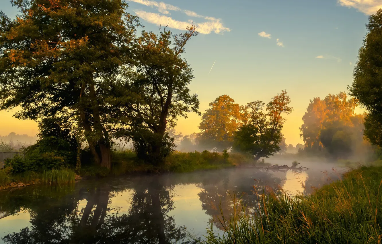 Photo wallpaper forest, river, trees, the sky, reflection, the fence